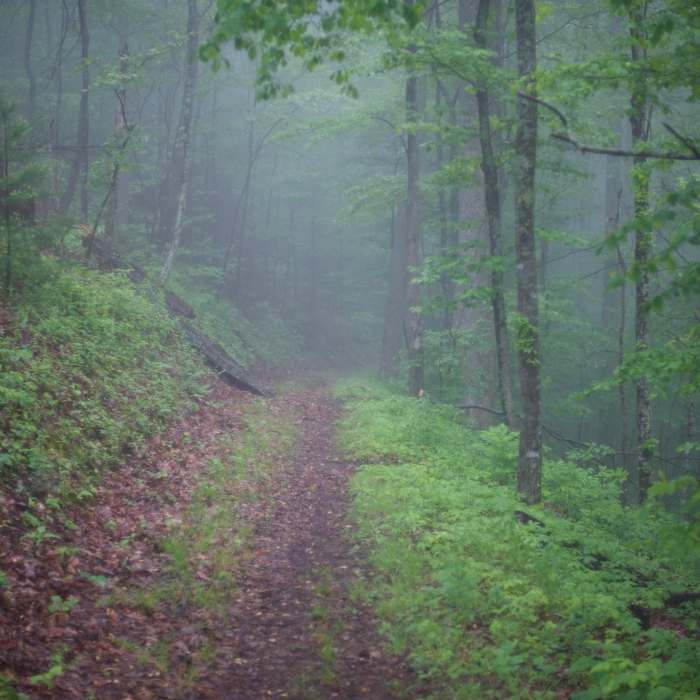 Near Rich Mountain Loop Trail