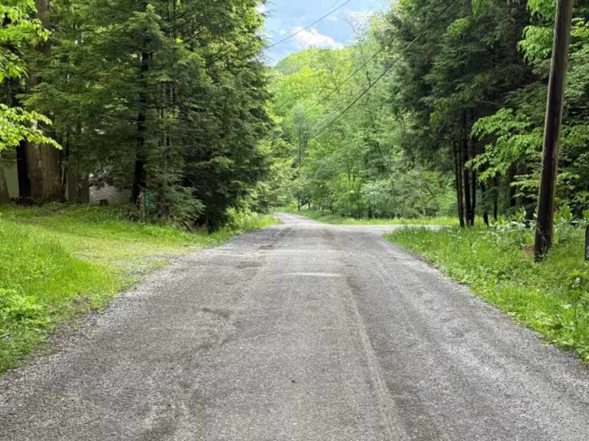 Cross PA Adventure Trail - FS 396 trail photo