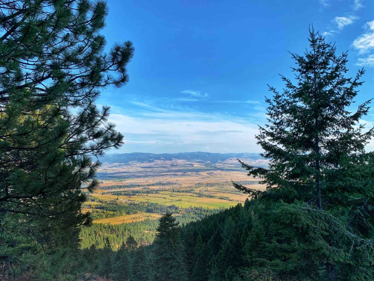 Bass Overlook Trail photo 2