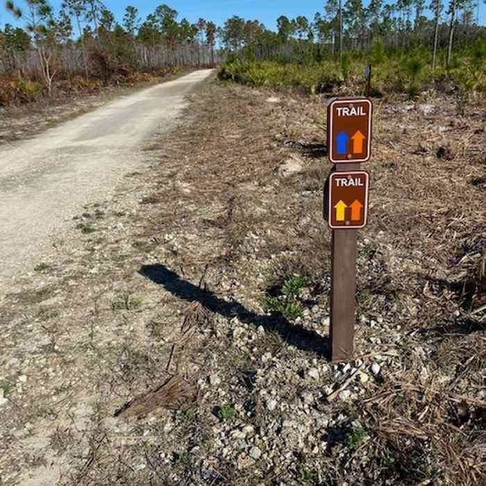 Near Yellow Trail Short Loop