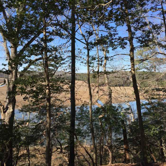 Take in the views of Queens Creek from the New Quarter Park Loops. Near New Quarter Park Loops