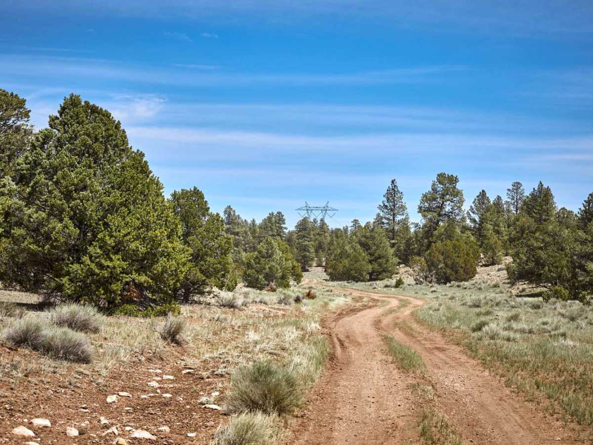 Peterson Flat trail photo