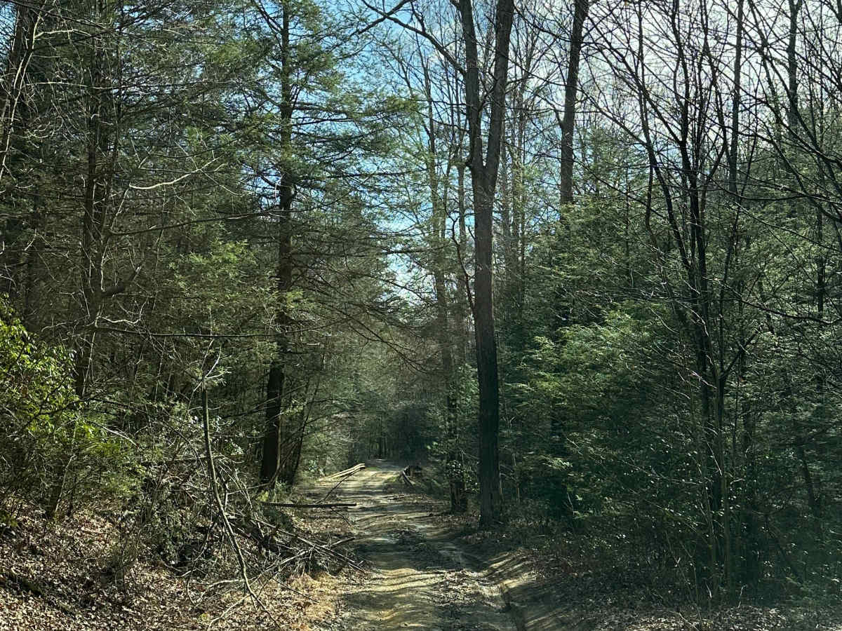 Biesecker Gap photo 6