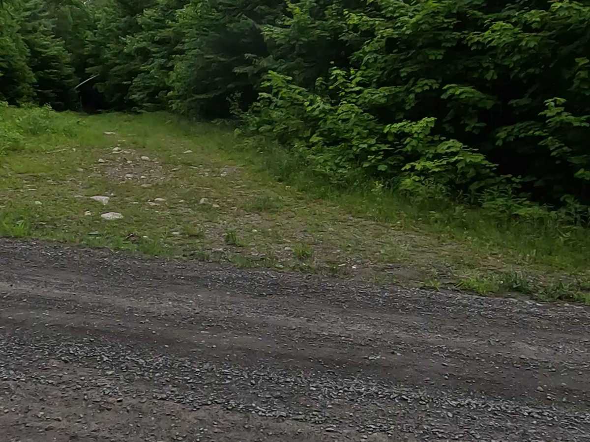 Barnhardt Creek Road photo 3