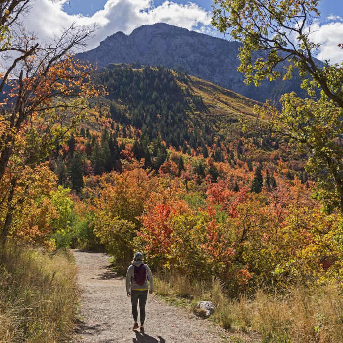 Near South Fork of Neff's Canyon