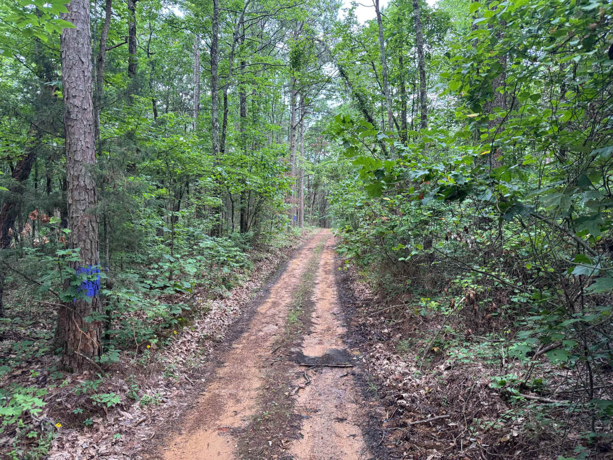 Wiemer Road photo 4