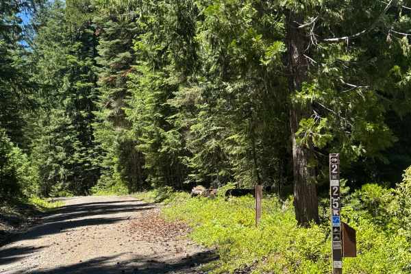 Rabbit Ears - OHV 25 Loop