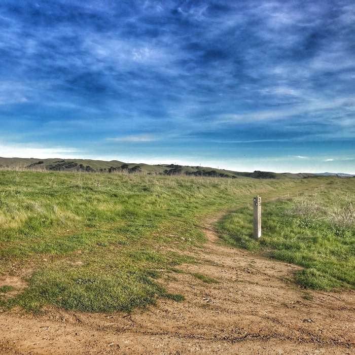 Near High Ridge Loop Trail