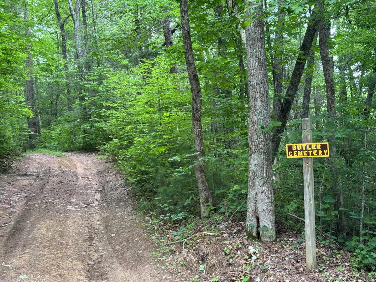 Butler Ridge - FS 1061 trail photo