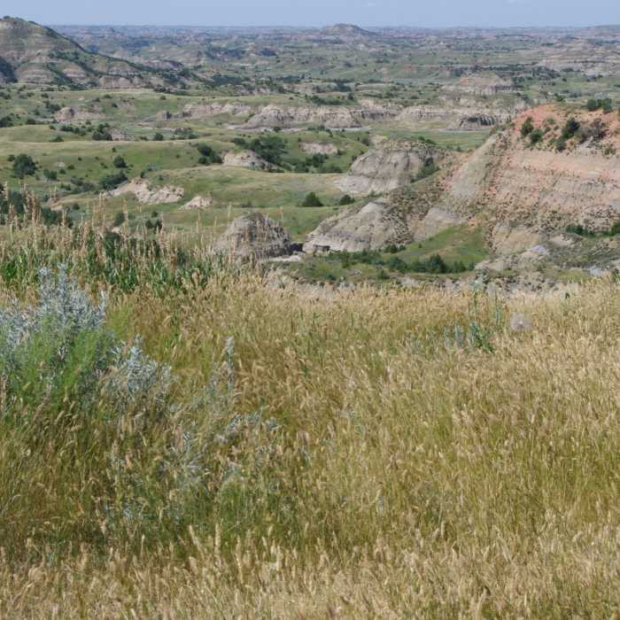 More of the Bad Near Painted Canyon Nature Trail
