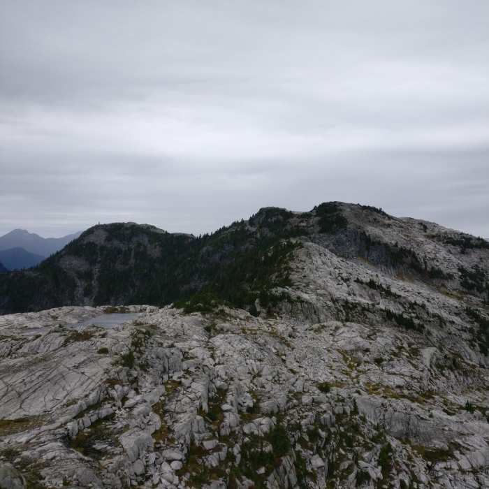 Near Mt. Burwell Trail