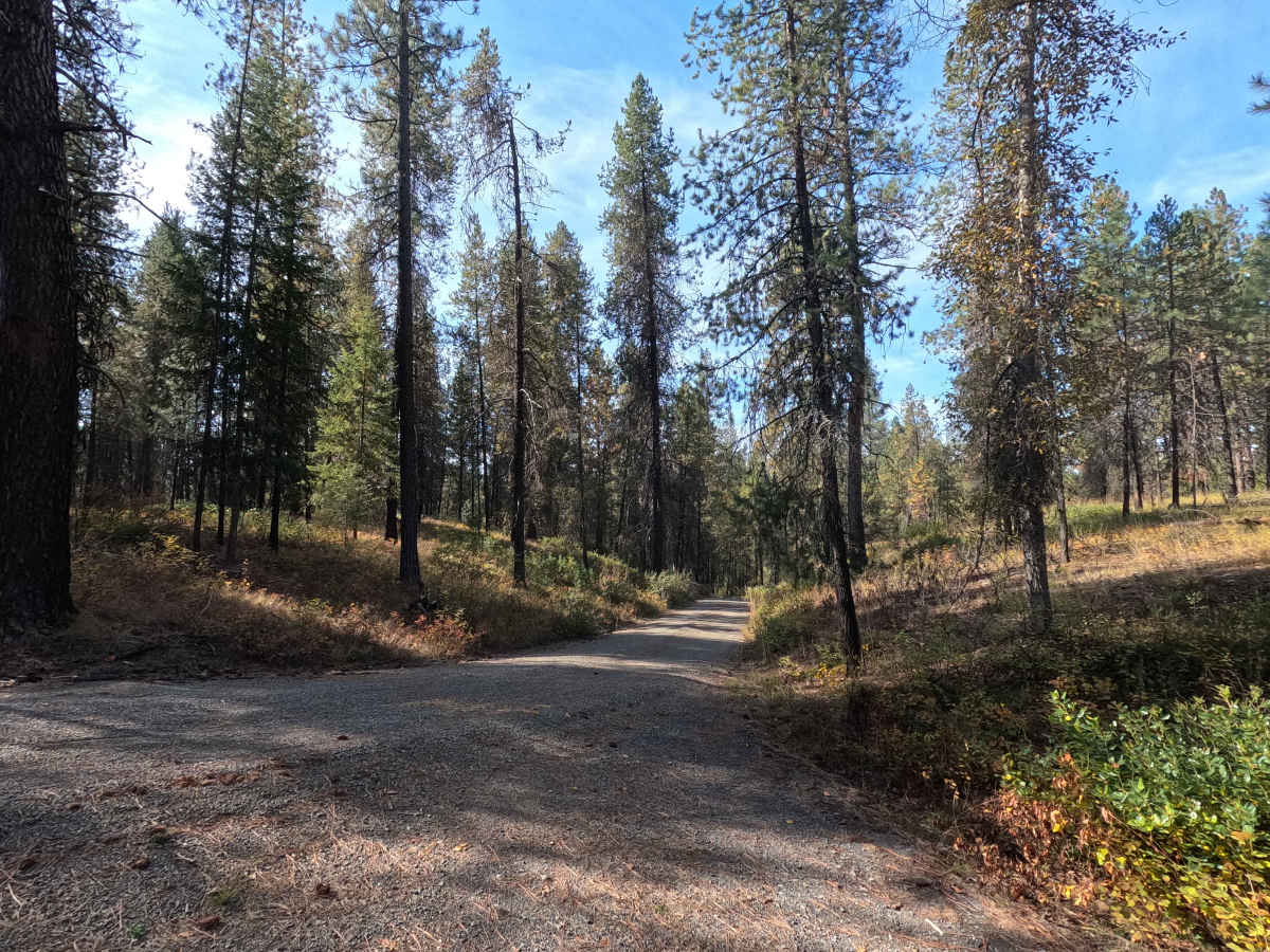 Starvation Flat Road trail photo