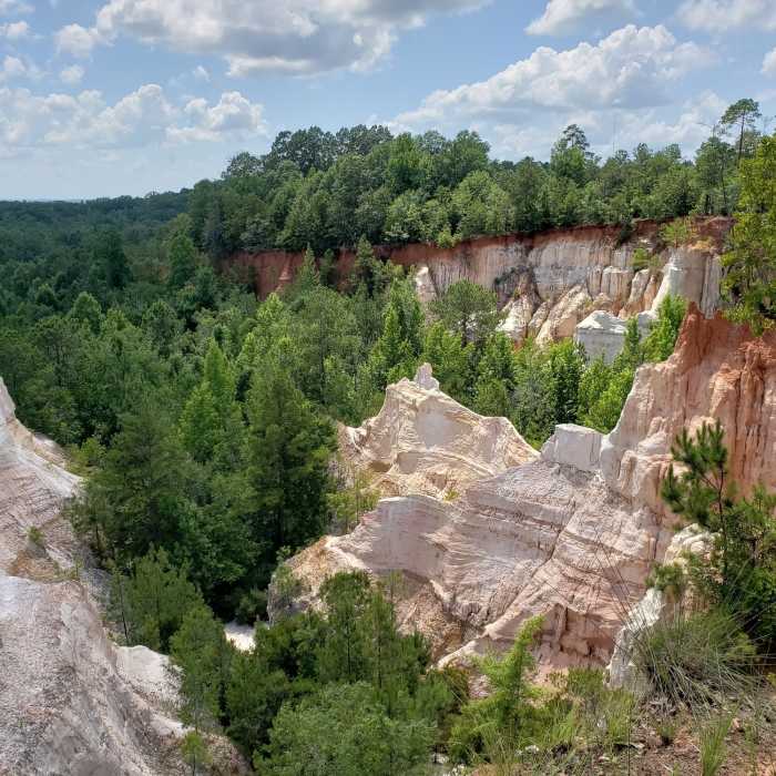 Near Canyon Loop Trail
