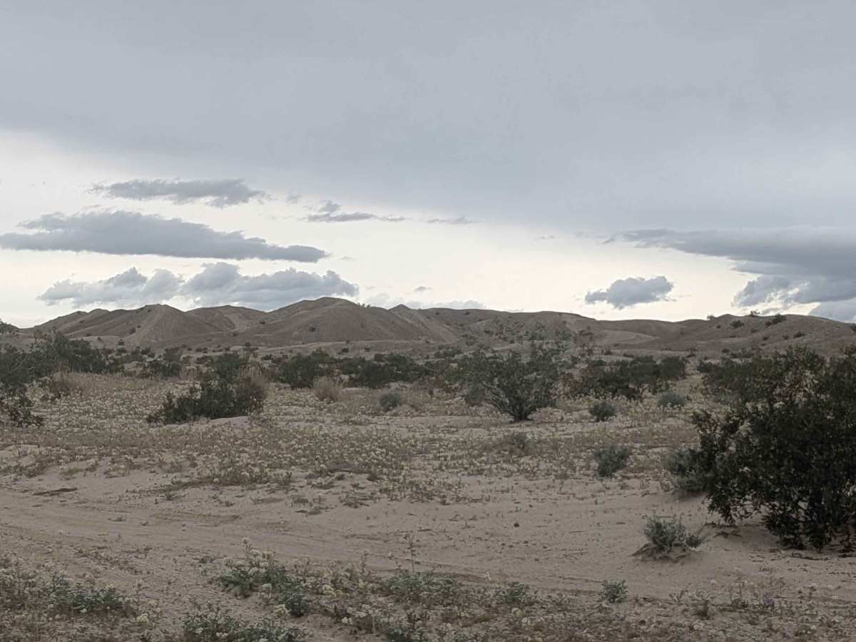 Ocotillo Trail Road photo 6