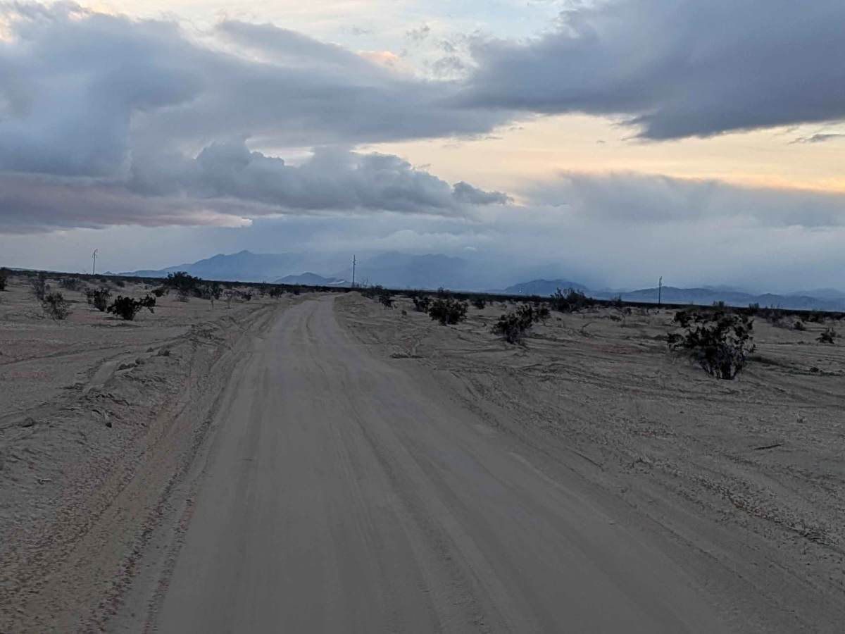 BLM 338 photo 4
