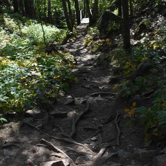 Near Sugarloaf Mountain - Easy Trail Near Sugarloaf Mountain - Easy Trail