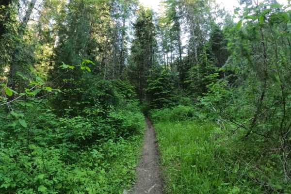 Graham Creek