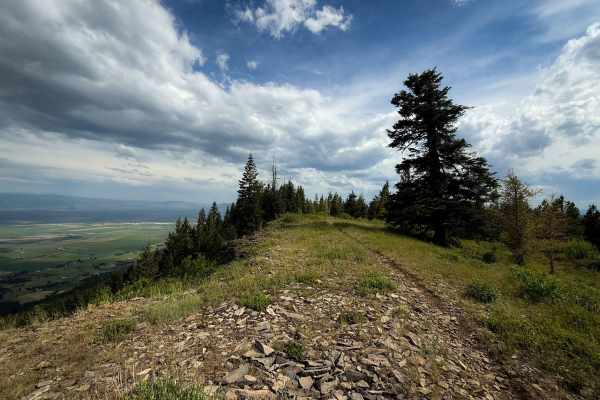 Ridgeline - Trail 320 