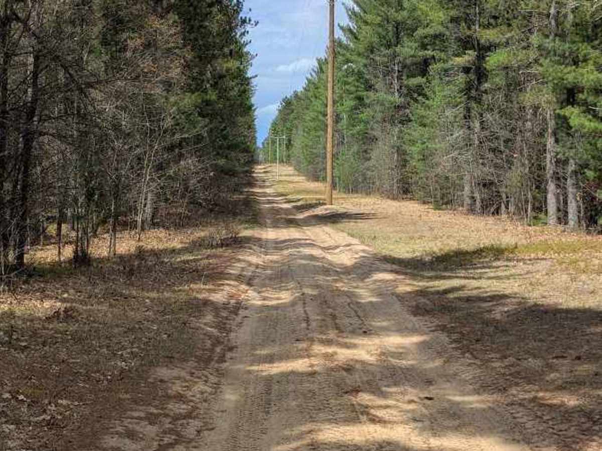 Reserve Loop photo 4