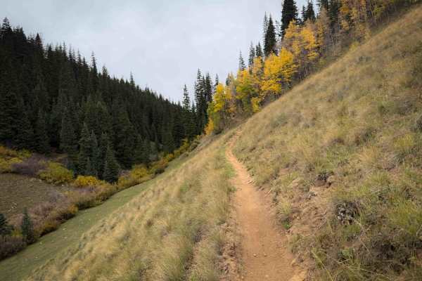 Deadman Gulch Trail - FS 420 