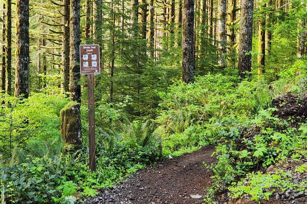 Divide Trail South
