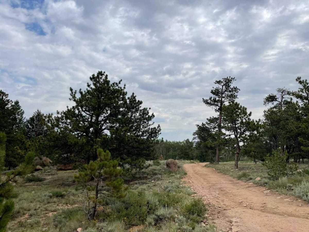 Twin Mountain Trail photo 4