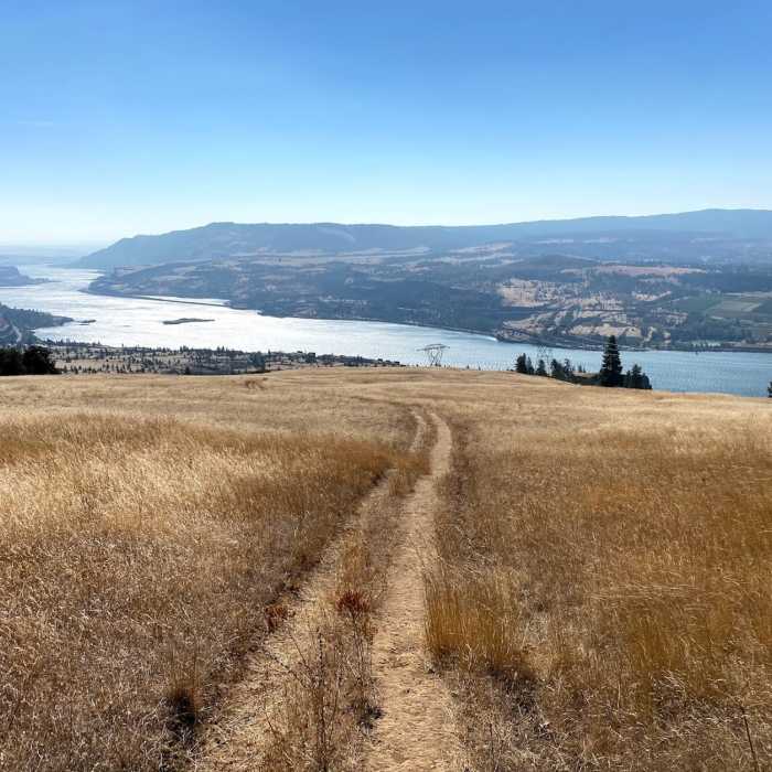 Near Catherine Creek