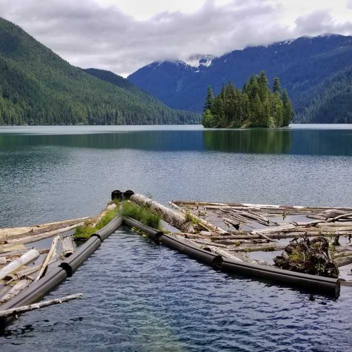 packwood lake Near Packwood Lake Trail