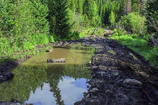 Middle St. Vrain, Coney Flats