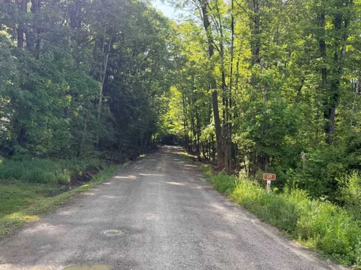 Deadman's Corner - FS 128F trail photo