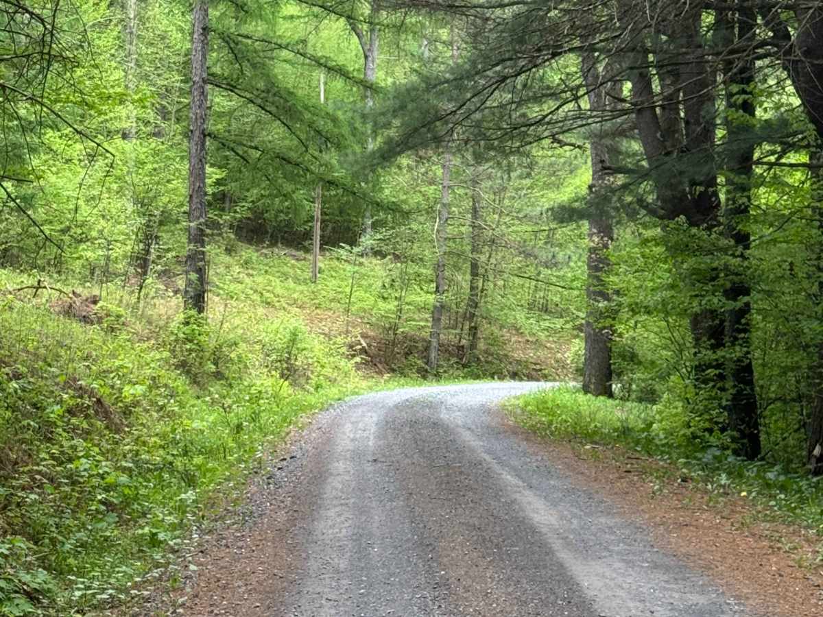 Lebo Road photo 4