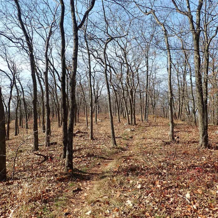 Near Appalachian Trail - Worthington State Forest Near Appalachian Trail - Worthington State Forest