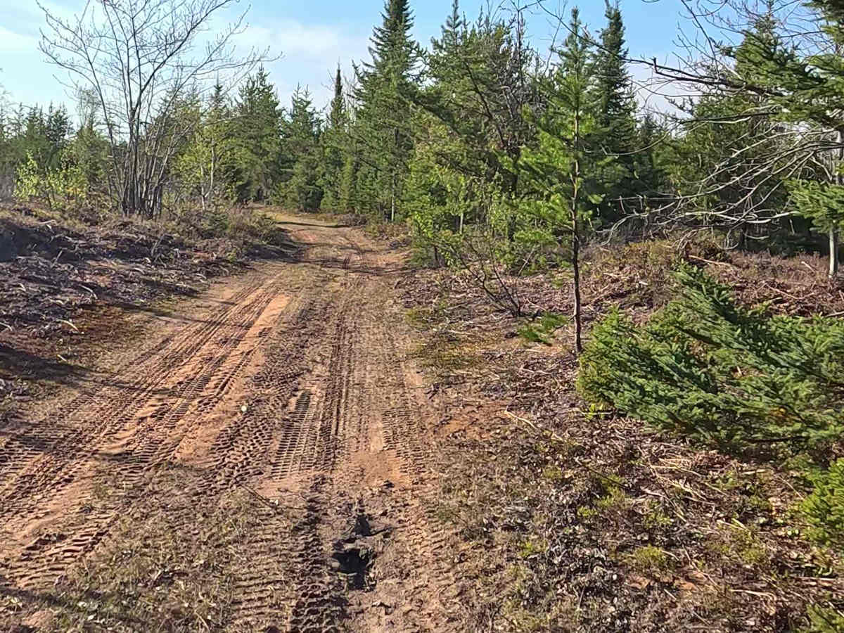 North Duck Marsh Road trail photo
