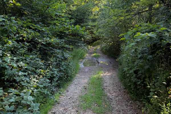 Hunter Access Pond Road
