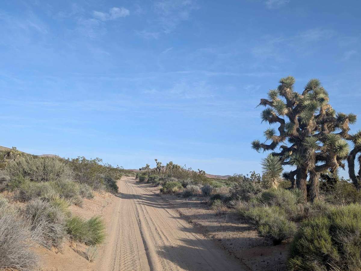 Old Dutch Cleanser Mine - BLM DP462 photo 5