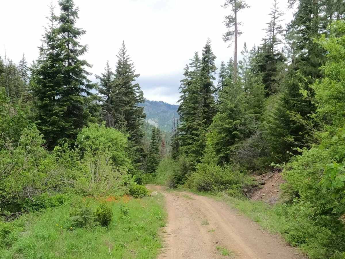 NF7322-200 trail photo