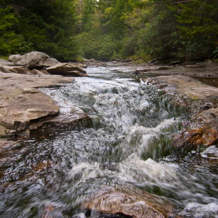 Near Big Stonecoal Trail