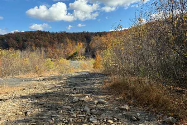 Trail 4