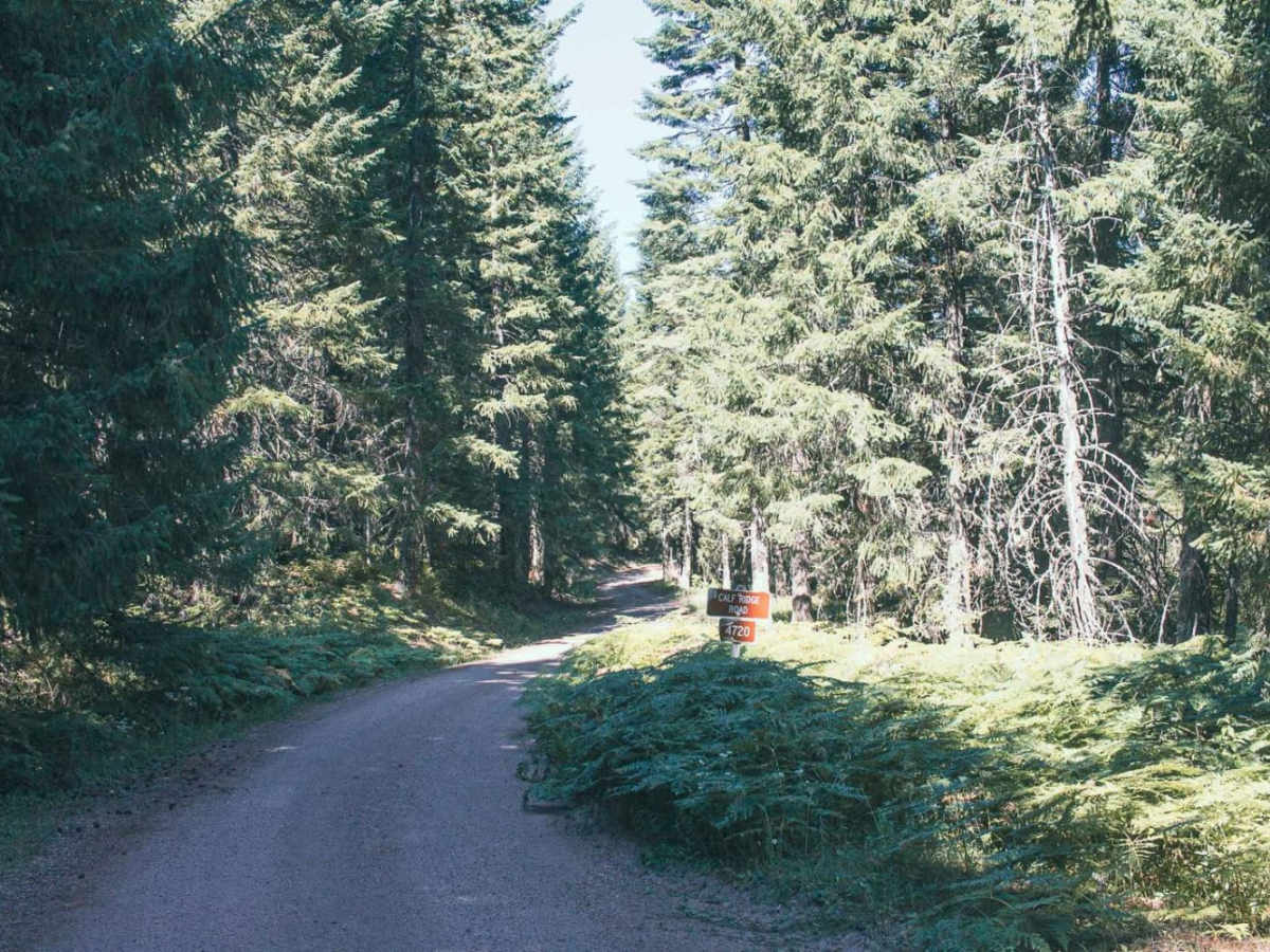 Calf Ridge photo 5