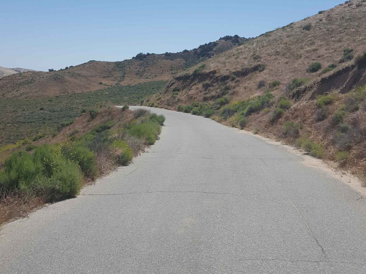Gold Hill Road - FS 8N01 photo 3