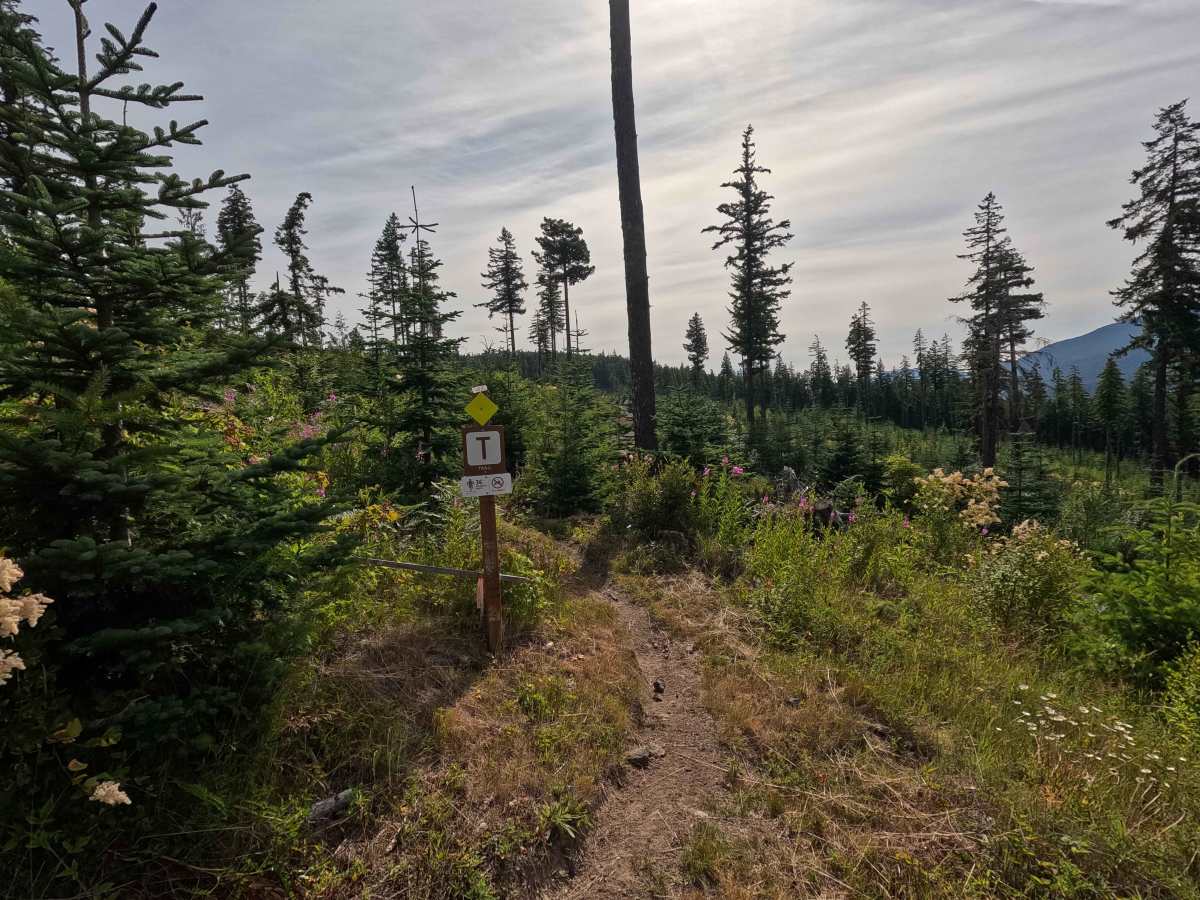 Santa’s Village trail photo