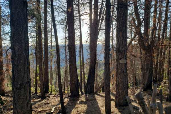 Kelsey Spring Trailhead