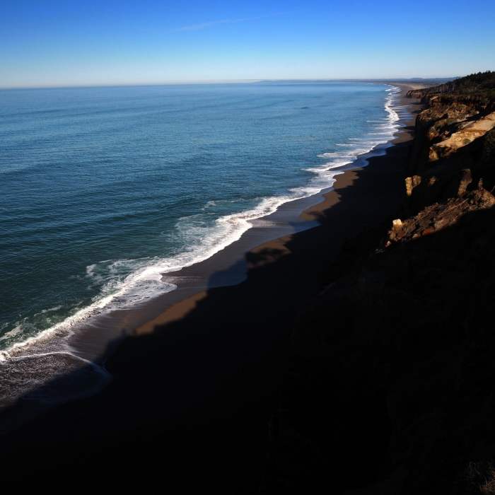 Near Floras Lake Beach