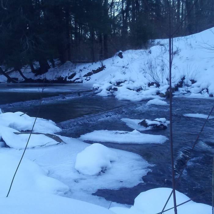 Near Twin Lakes Trail