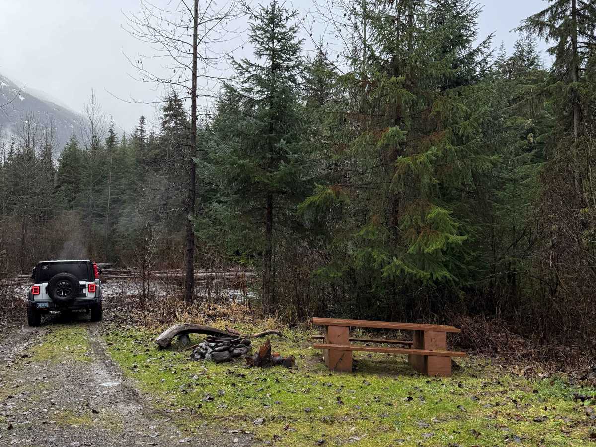 Clore Forest Service Road photo 4