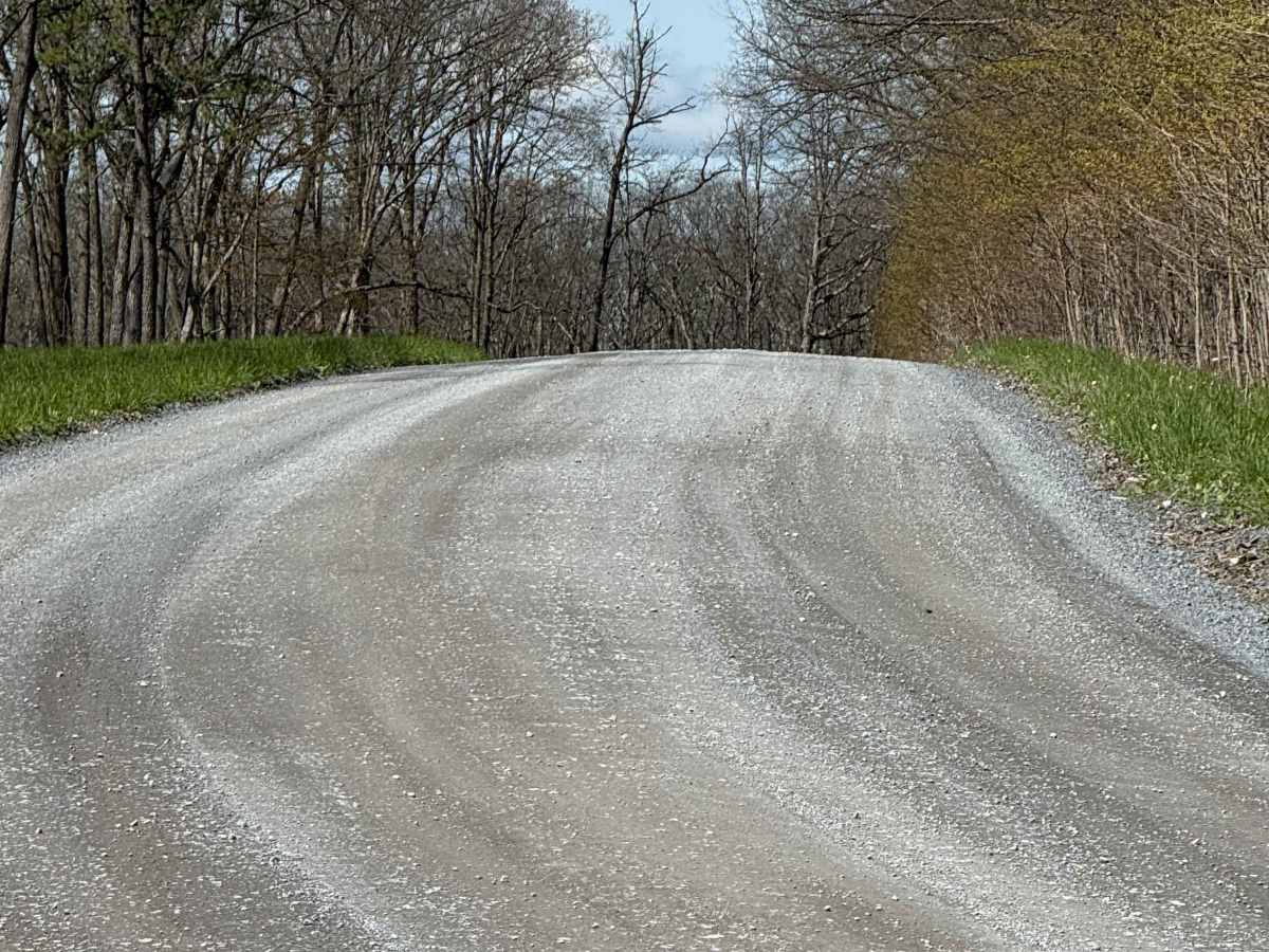 Four Mile Road photo 5