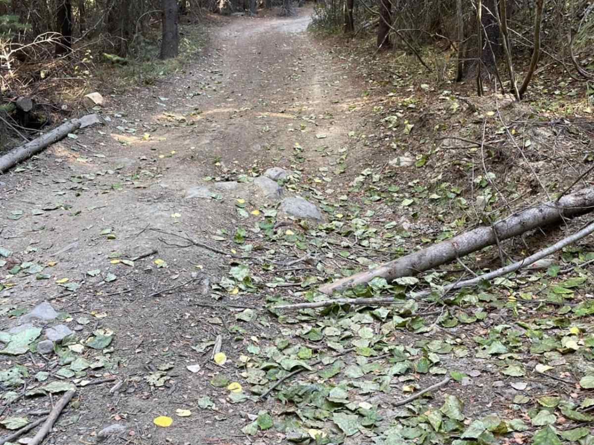 Tight Shortcut photo 4