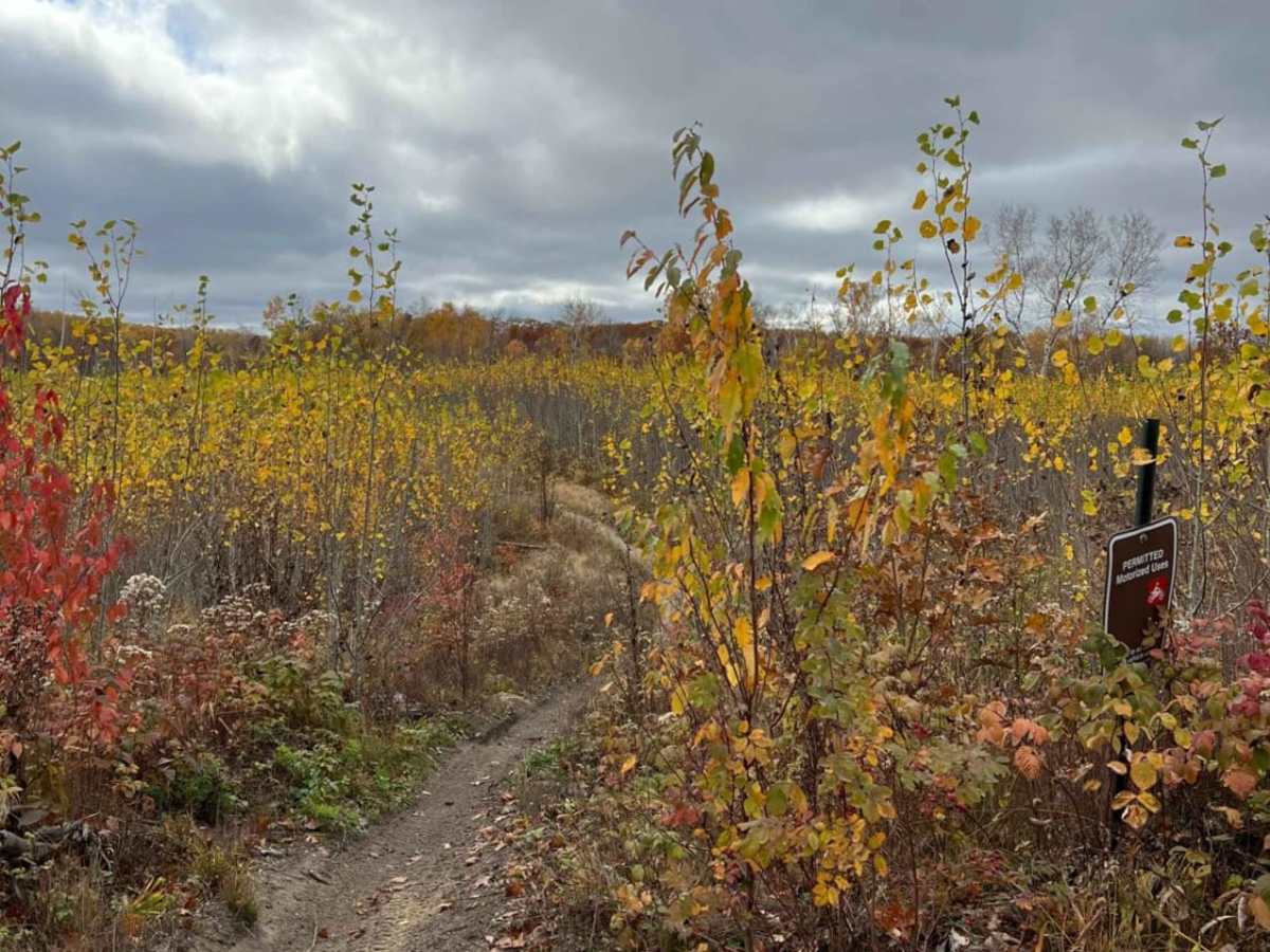 Paul's Narrow Thicket Bike Path trail photo