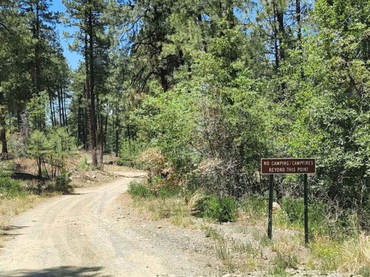 Hassayampa Creek trail photo