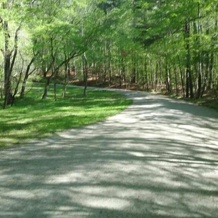 Intersection of the trail with Reedy Creek Lake Near Turkey Creek/Cedar Ridge Loop